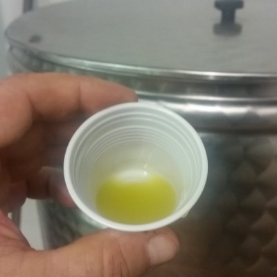 Degustacja oliwy Terre Rosse